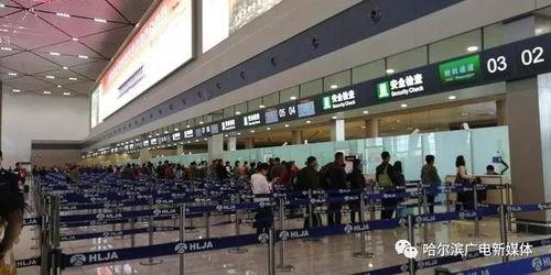 哈尔滨机场最新爆料,揭秘神秘扩建计划与未来展望  第3张