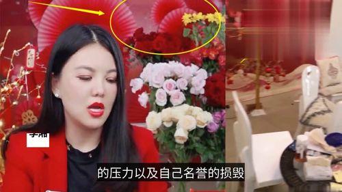 明星爆料官方回应视频下载,真相背后的视频下载之谜