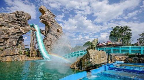 云南男网红吃瓜事件真相,揭秘背后真相与反思